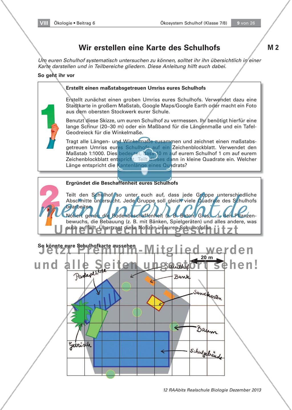 Ein Ökosystem unter der Lupe – unser Schulhof Preview 9
