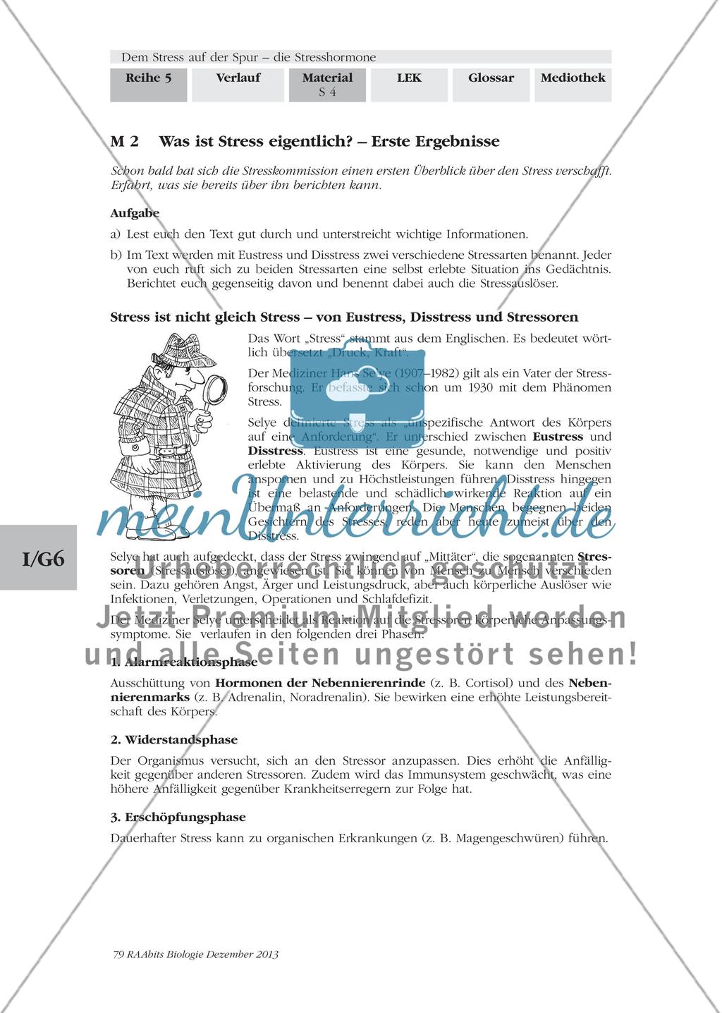 Dem Stress auf der Spur – die Stresshormone: M2-M3 Preview 1