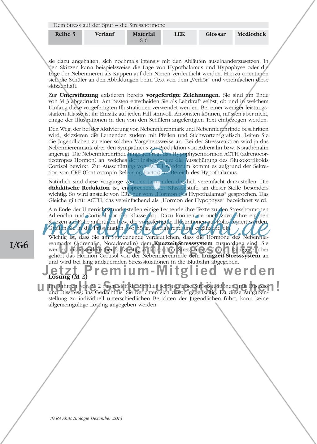 Dem Stress auf der Spur – die Stresshormone: M2-M3 Preview 3
