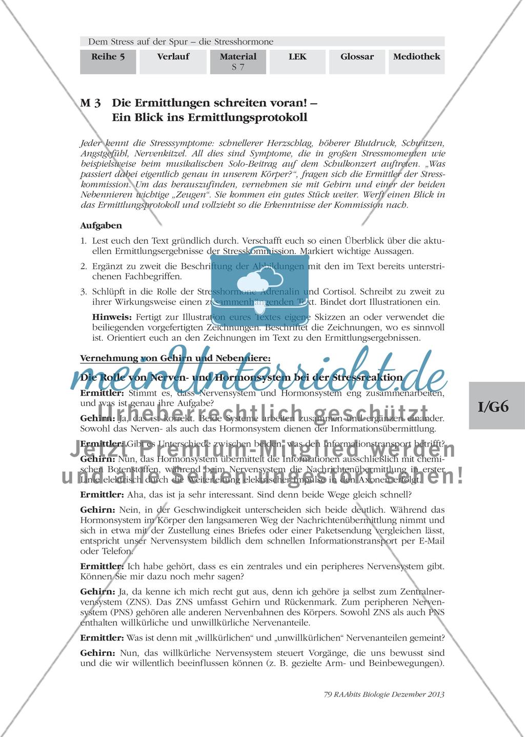 Dem Stress auf der Spur – die Stresshormone: M2-M3 Preview 4