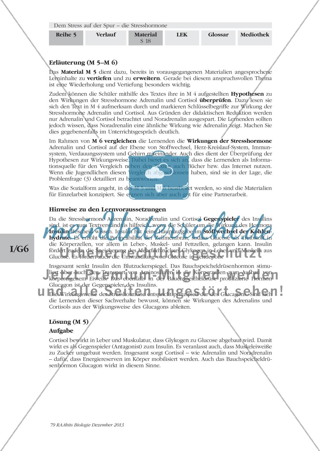 Dem Stress auf der Spur – die Stresshormone: M5-M6 Preview 3