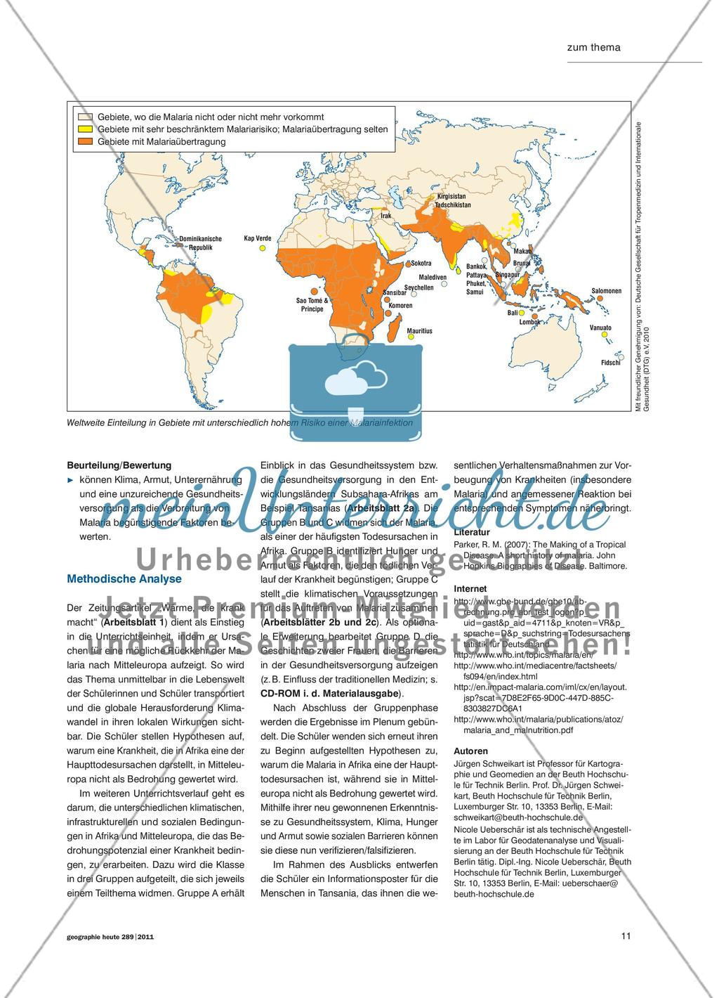 Todesursache: Malaria - Ursachen und Auswirkungen der Erkrankung in Subsahara-Afrika untersuchen Preview 2