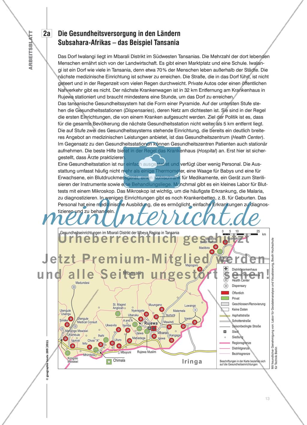 Todesursache: Malaria - Ursachen und Auswirkungen der Erkrankung in Subsahara-Afrika untersuchen Preview 4