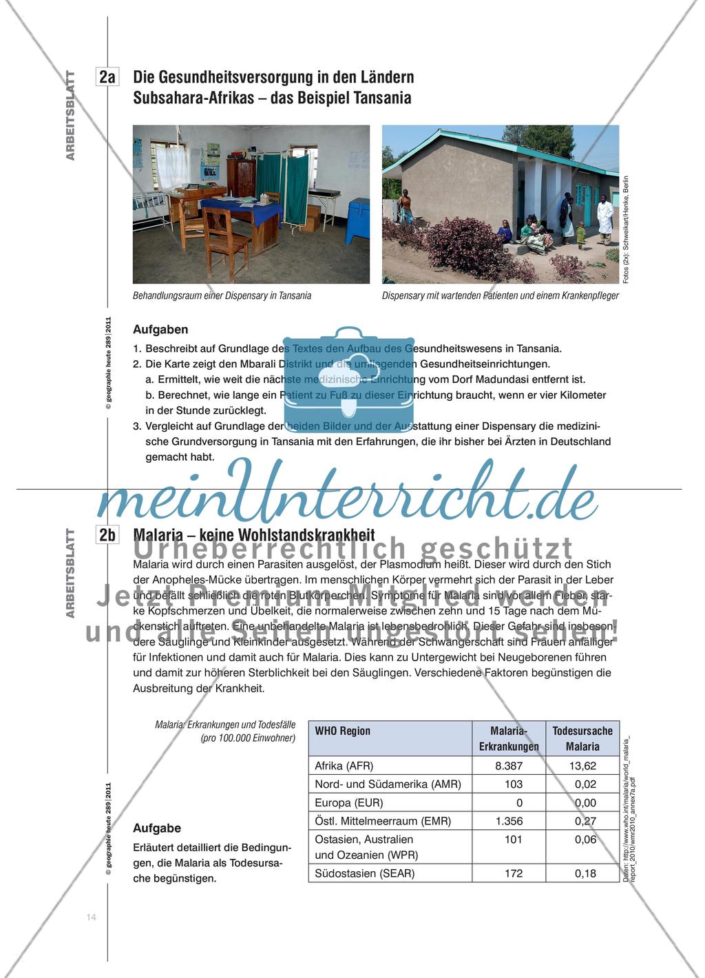 Todesursache: Malaria - Ursachen und Auswirkungen der Erkrankung in Subsahara-Afrika untersuchen Preview 5
