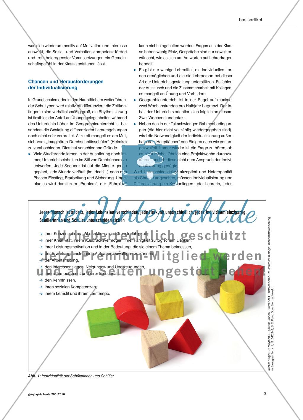 Individualisierung im Geographieunterricht - Oder: Die überfällige Berücksichtigung einer längst bekannten Variable Preview 2