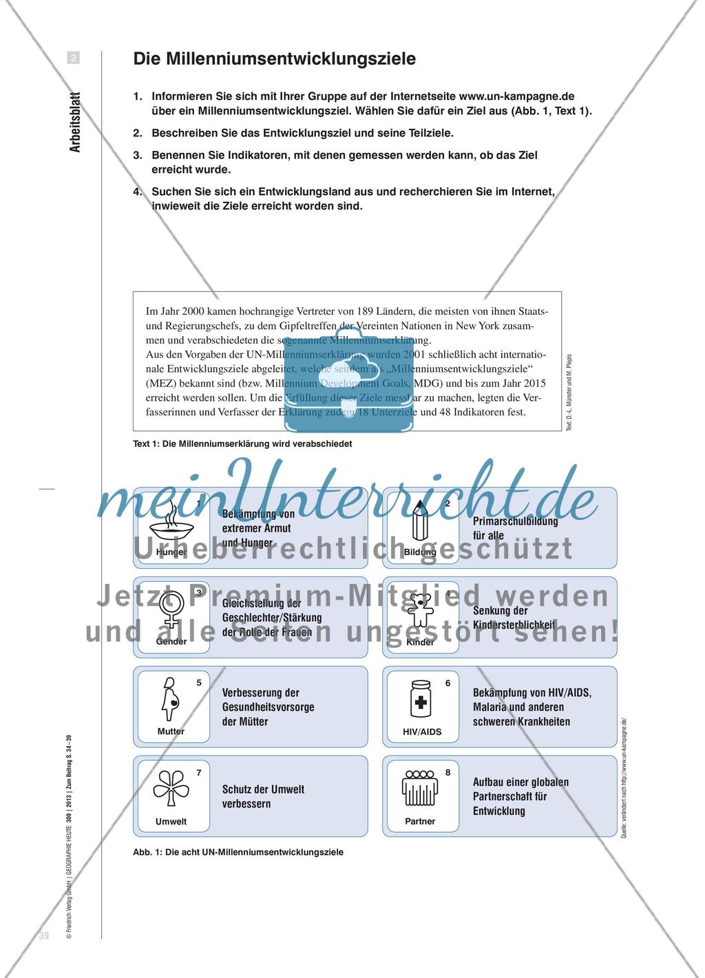 Millenniumsentwicklungsziele im Geographieunterricht - Bewertung der bisherigen Entwicklungserfolge des 2. MEZ am Beispiel Tansanias Preview 6