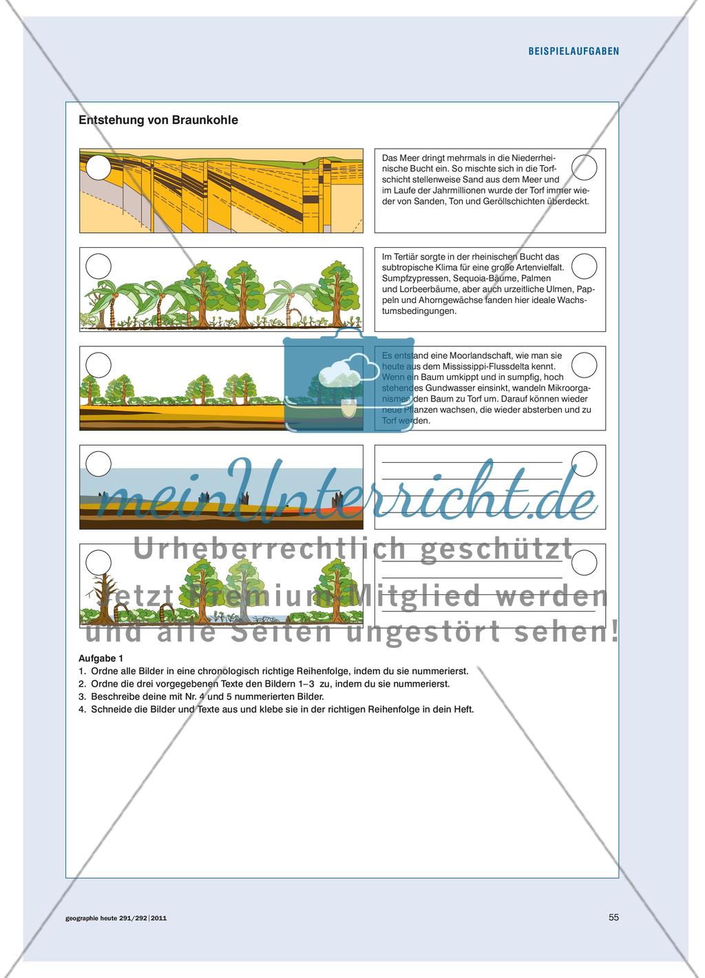 Materialgestützte Aufgaben stellen - Kompetenzen in vielfältigen Zusammenhängen fördern und überprüfen Preview 3