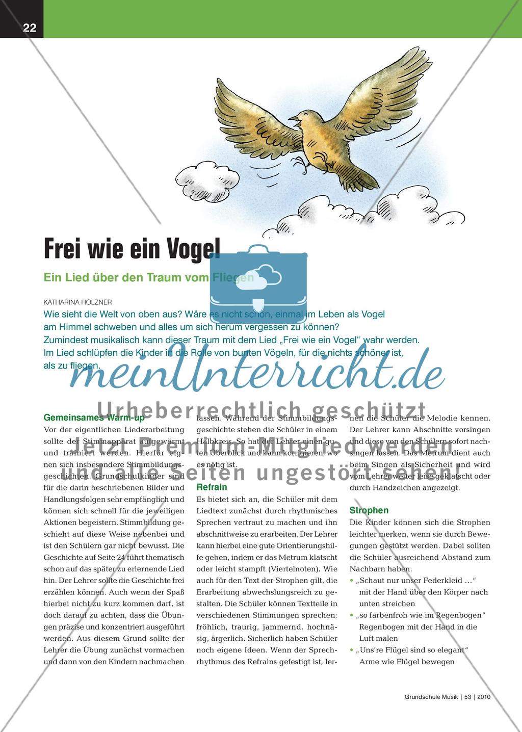 Frei wie ein Vogel - Ein Lied über den Traum vom Fliegen Preview 1