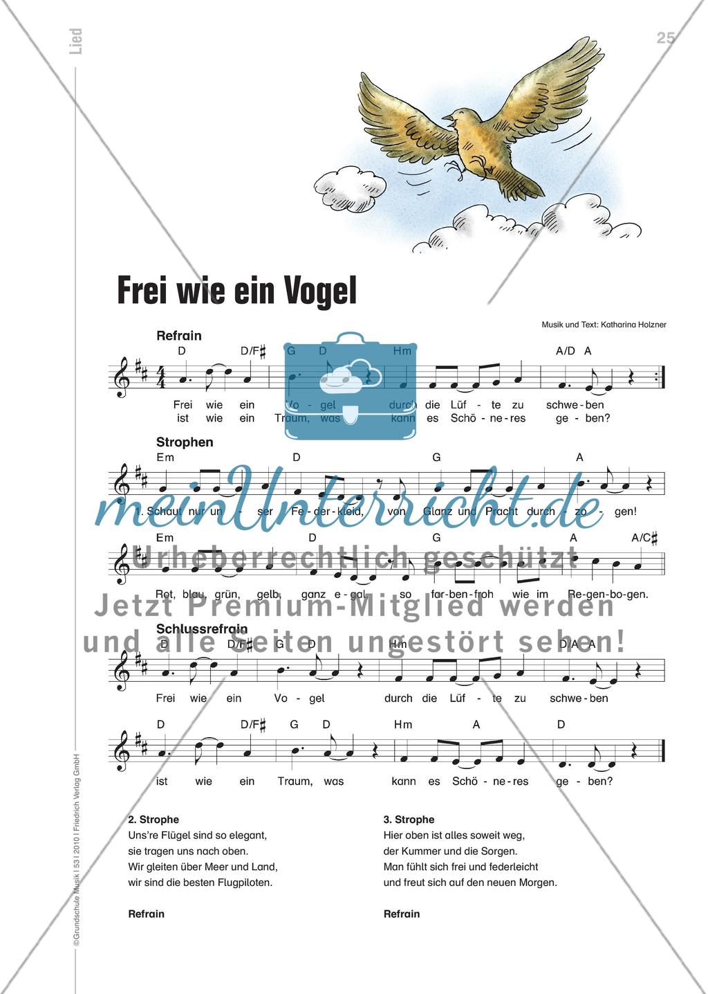 Frei wie ein Vogel - Ein Lied über den Traum vom Fliegen Preview 4