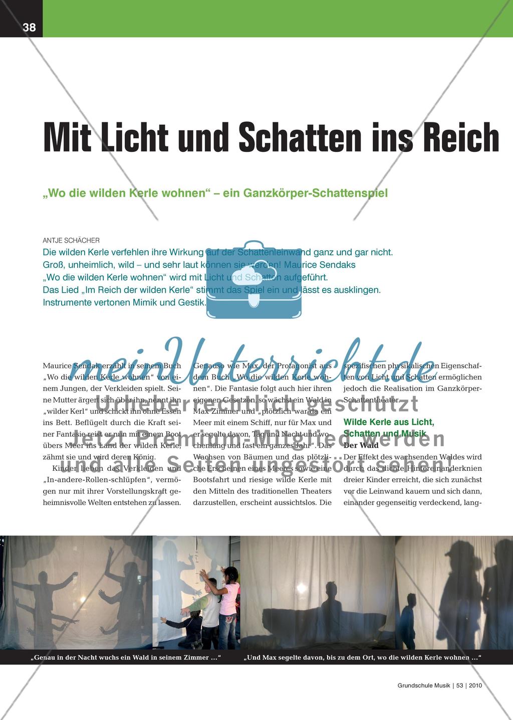 Mit Licht und Schatten ins Reich der Fantasie - „Wo die wilden Kerle wohnen“ – ein Ganzkörper-Schattenspiel Preview 1