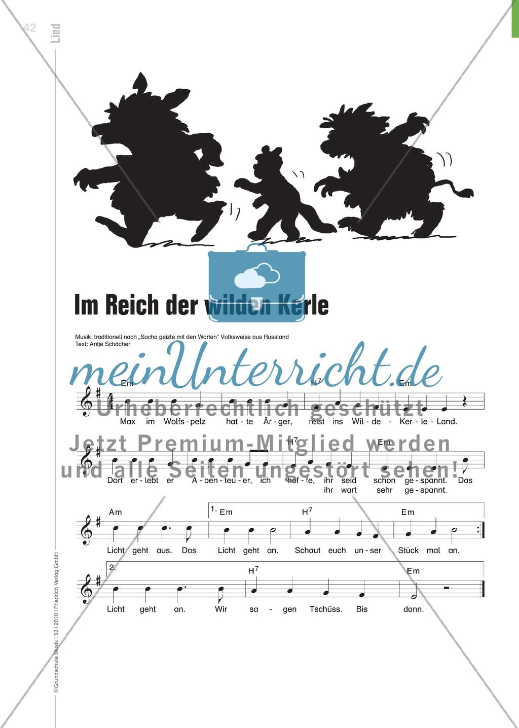 Mit Licht und Schatten ins Reich der Fantasie - „Wo die wilden Kerle wohnen“ – ein Ganzkörper-Schattenspiel Preview 5