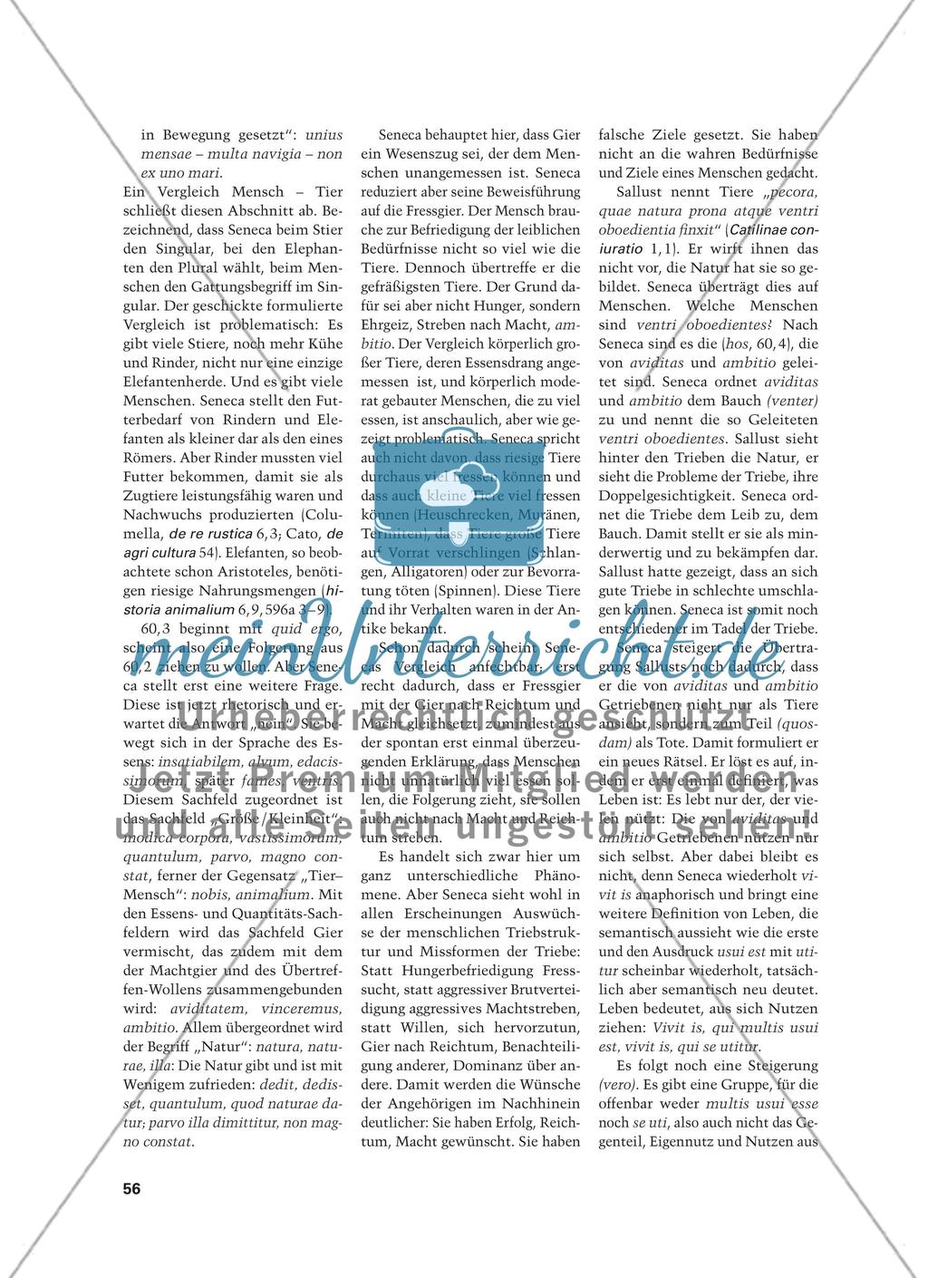 Richtig wünschen – richtig leben - Oder: Von Fremdbestimmung zu Selbstbestimmung – Senecas Brief 60 Preview 9