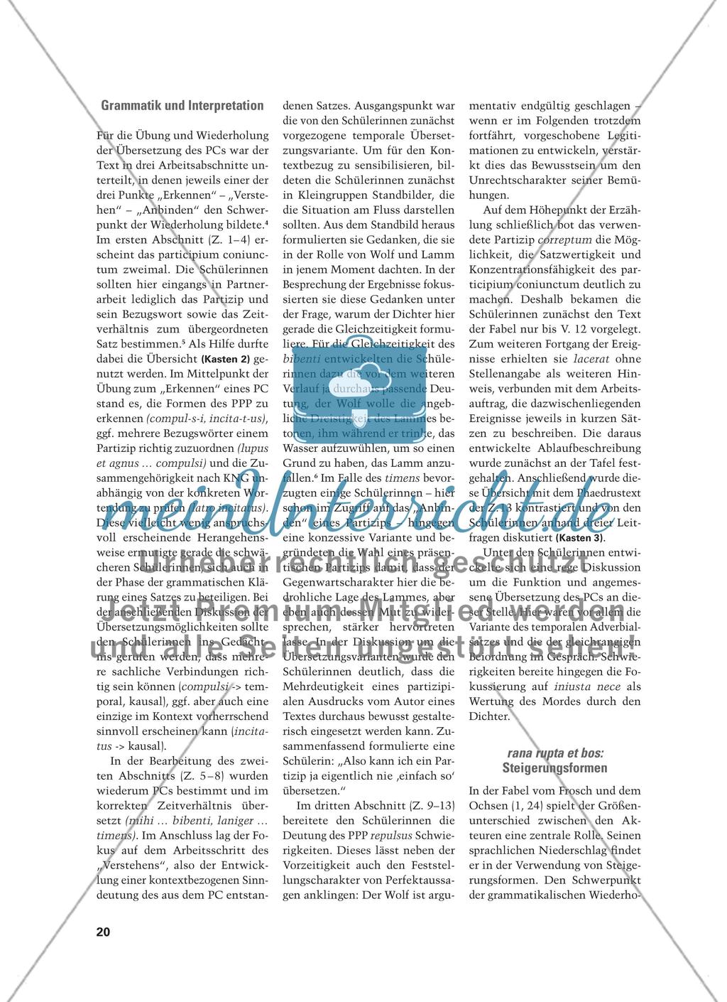 Fabel -hafte Grammatik - Grammatikwiederholung mit den Phaedrusfabeln Preview 3