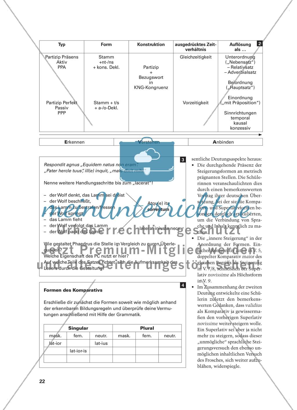 Fabel -hafte Grammatik - Grammatikwiederholung mit den Phaedrusfabeln Preview 5