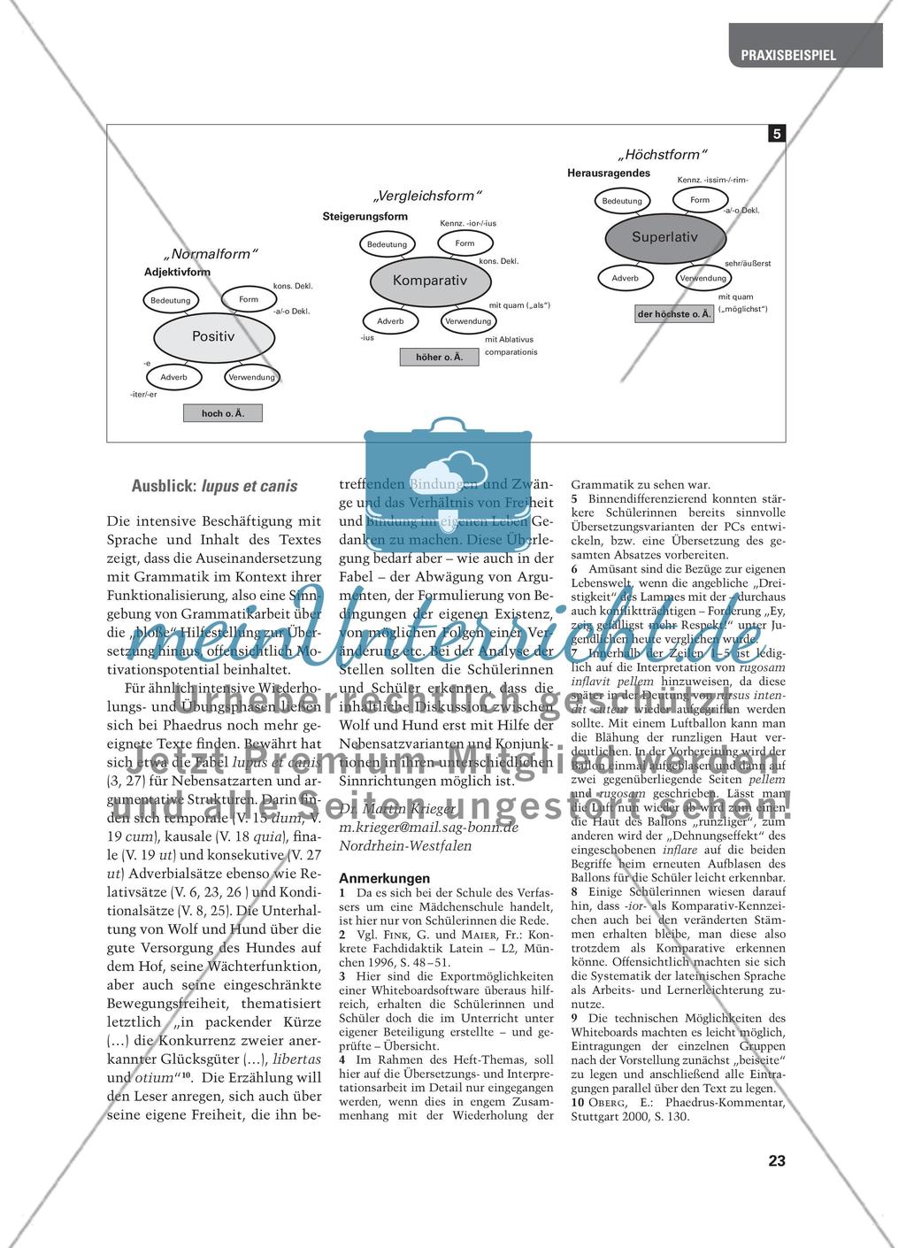 Fabel -hafte Grammatik - Grammatikwiederholung mit den Phaedrusfabeln Preview 6