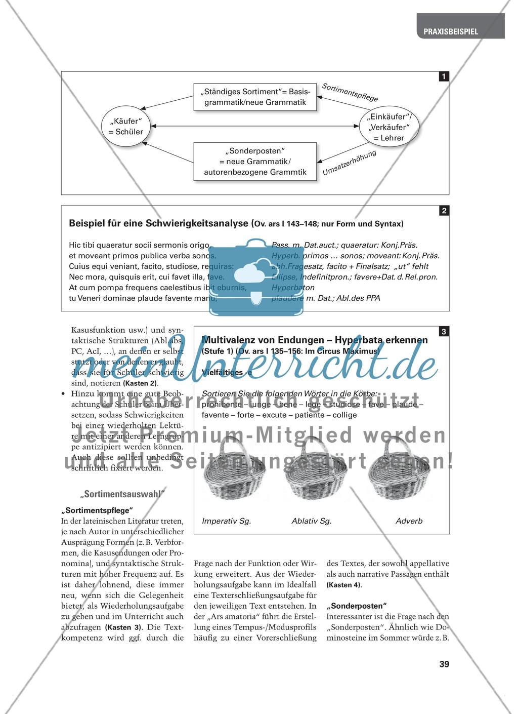 Etwas Grammatik muss sein! - Tipps für Übungen während der Lektüre an Beispielen aus Ovid und Plinius Preview 2
