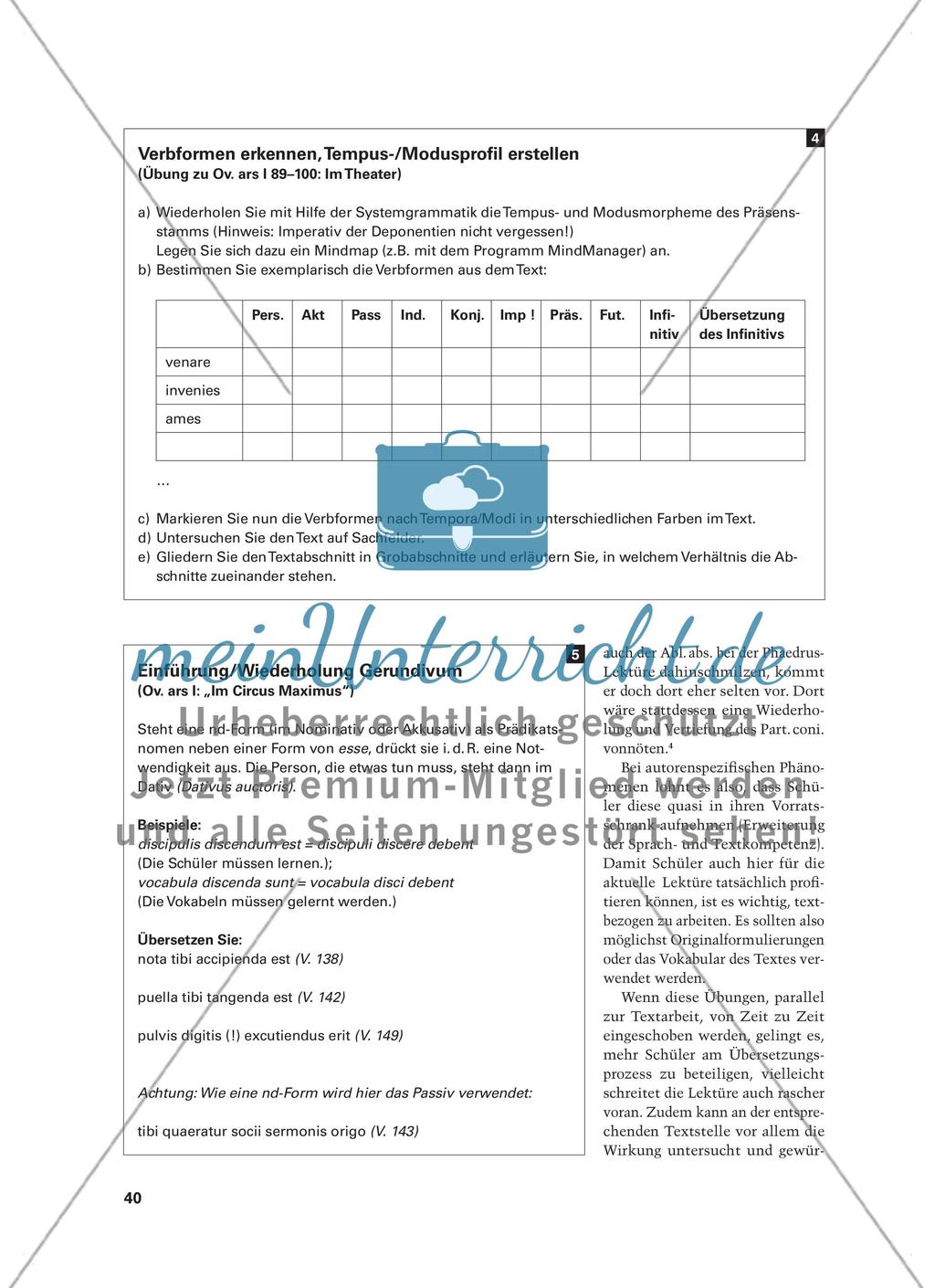 Etwas Grammatik muss sein! - Tipps für Übungen während der Lektüre an Beispielen aus Ovid und Plinius Preview 3