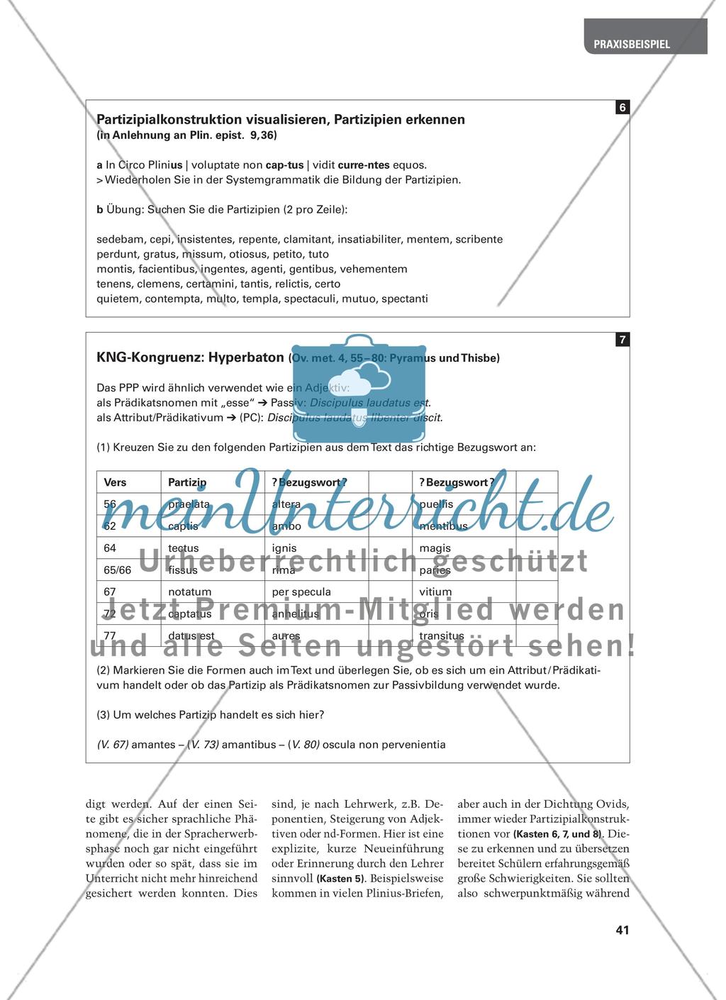 Etwas Grammatik muss sein! - Tipps für Übungen während der Lektüre an Beispielen aus Ovid und Plinius Preview 4
