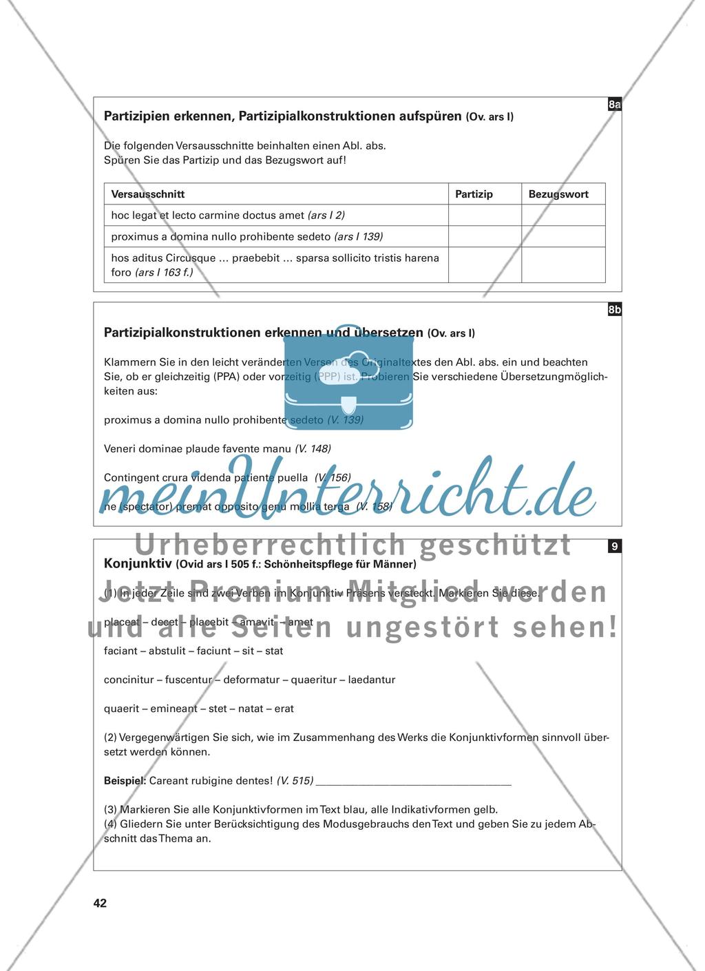 Etwas Grammatik muss sein! - Tipps für Übungen während der Lektüre an Beispielen aus Ovid und Plinius Preview 5