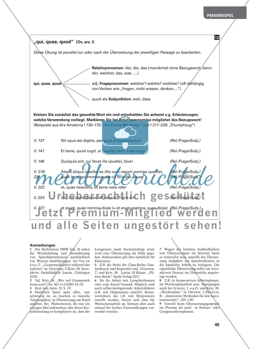 Etwas Grammatik muss sein! - Tipps für Übungen während der Lektüre an Beispielen aus Ovid und Plinius Preview 8