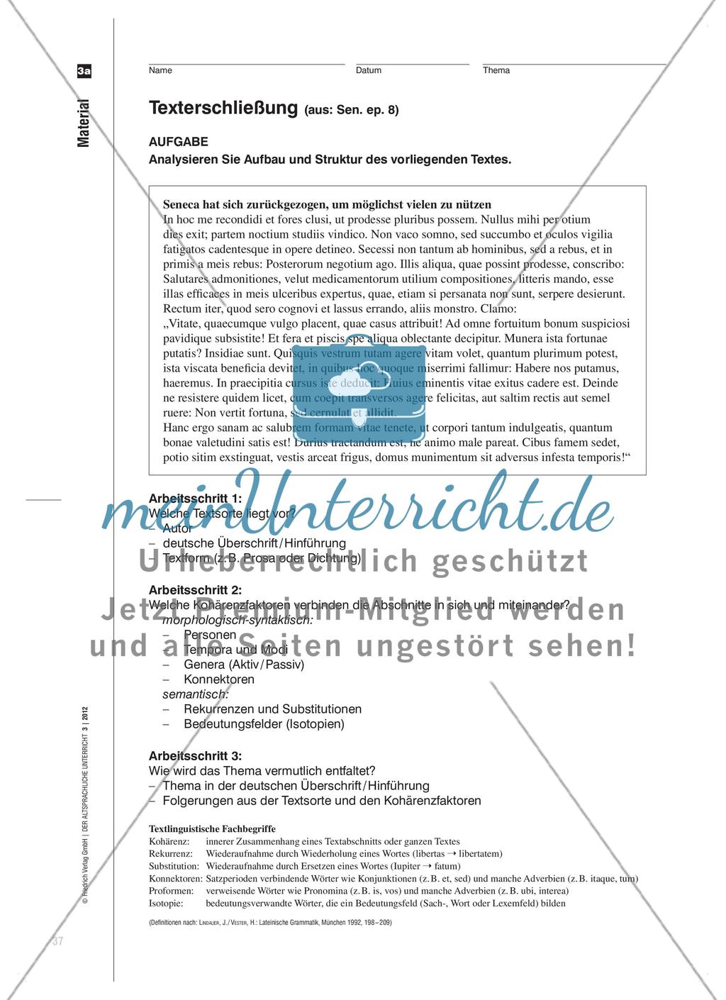 Kompetente Grammatikanwendung in der Lektürephase mit Beispielen zu Seneca-Briefen Preview 8