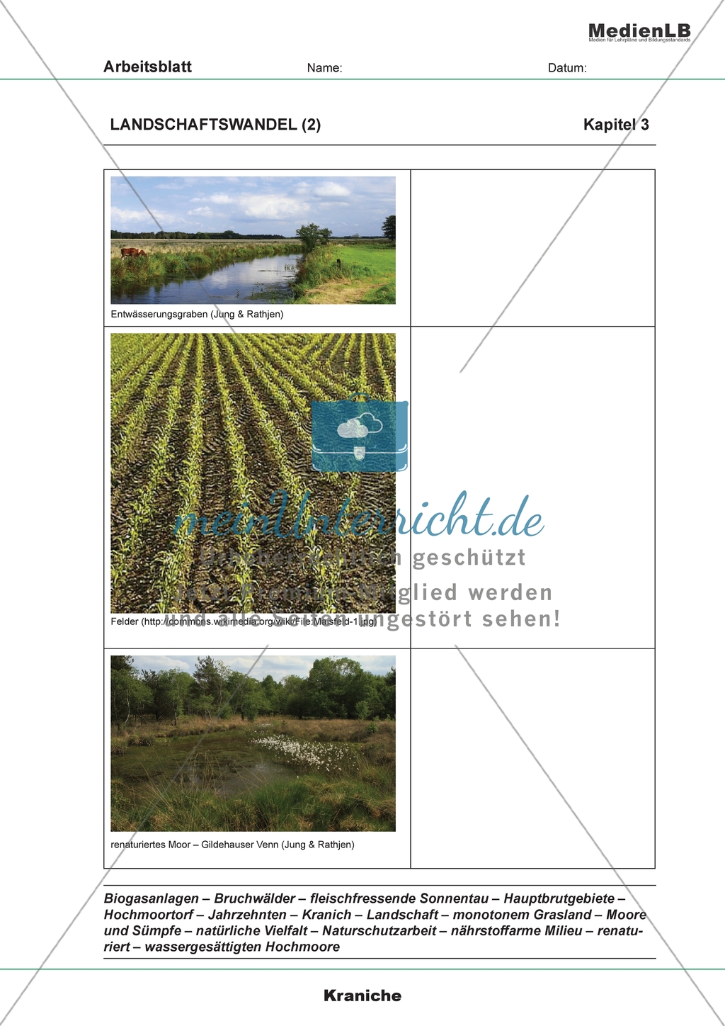 Landschaftswandel - Zuordnung von Bildern und Texten Preview 2