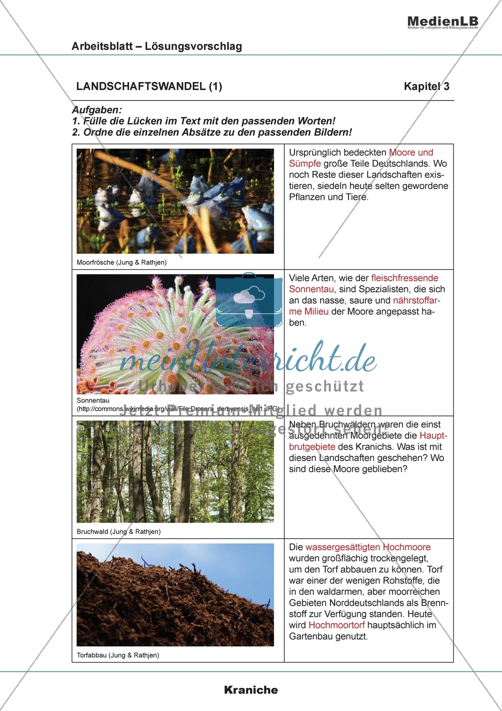 Landschaftswandel - Zuordnung von Bildern und Texten Preview 4