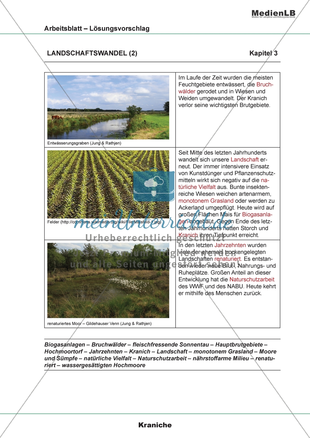 Landschaftswandel - Zuordnung von Bildern und Texten Preview 5