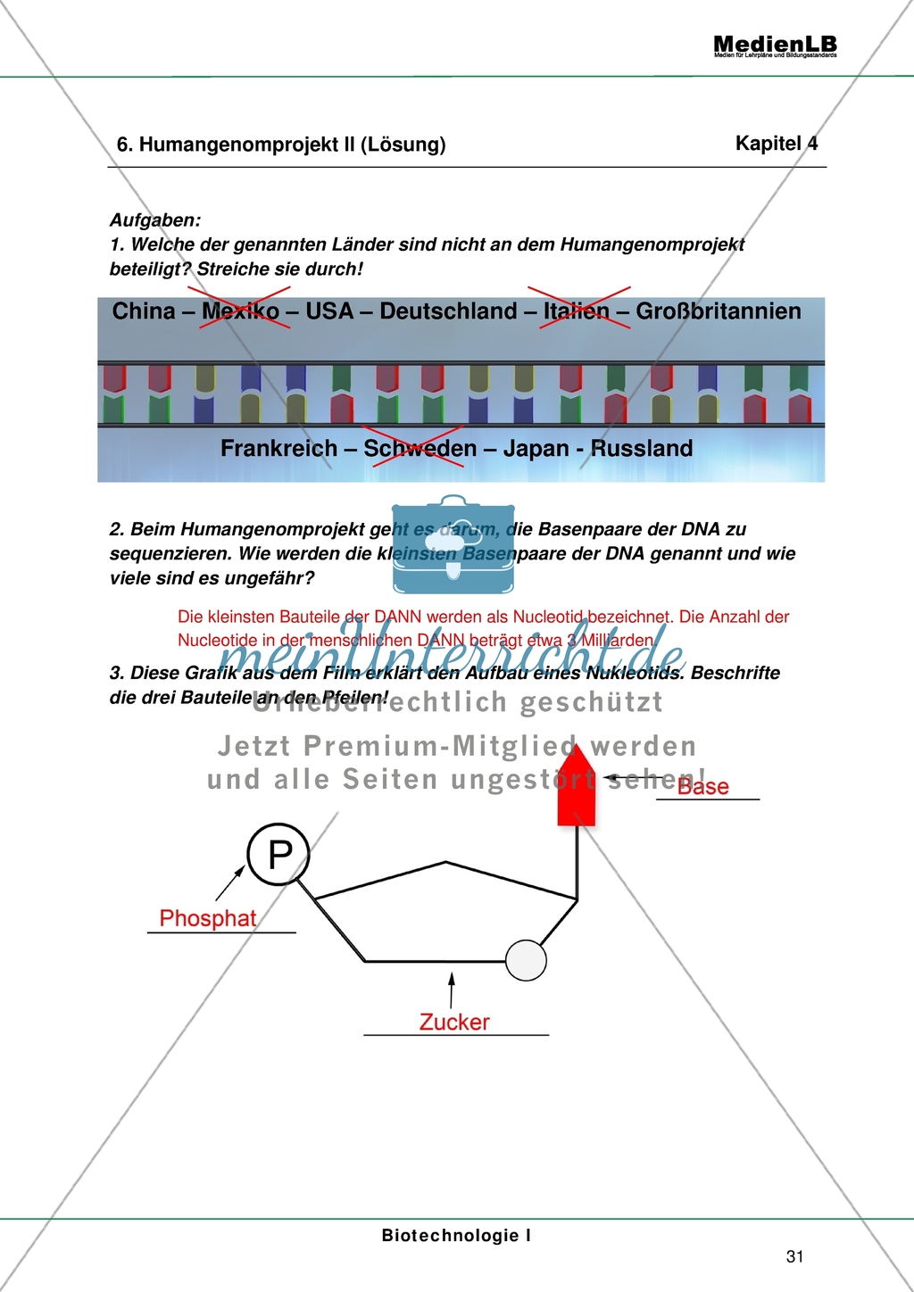 Humangenomprojekt - Beteiligte + Aufbau eines Nukleotids Preview 2