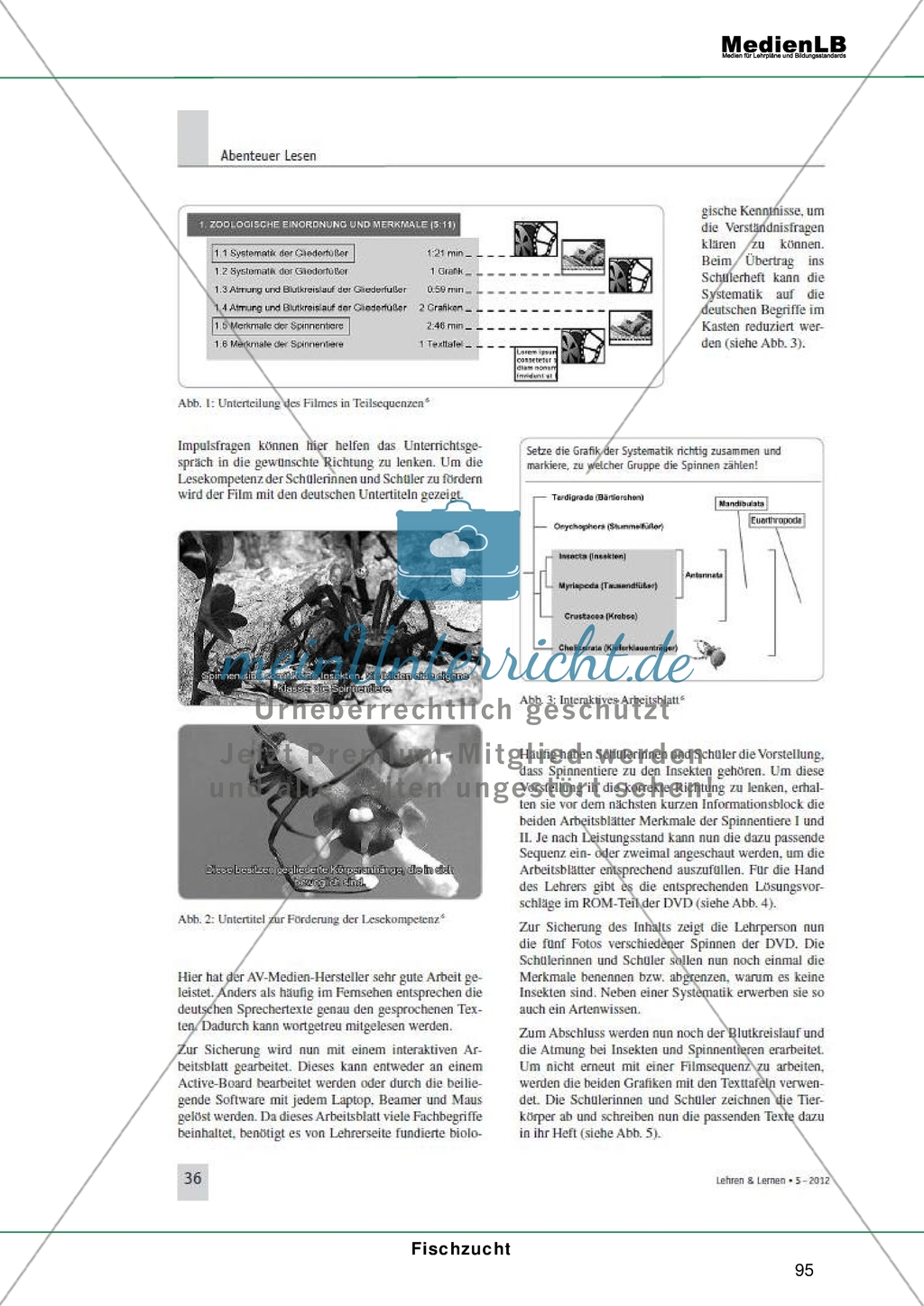 Mediendidaktik - Allgemeine Informationen + Aufbau moderner didaktischer DVDs und deren Einsatz Preview 7