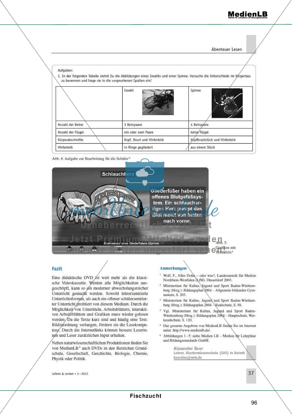 Mediendidaktik - Allgemeine Informationen + Aufbau moderner didaktischer DVDs und deren Einsatz Preview 8