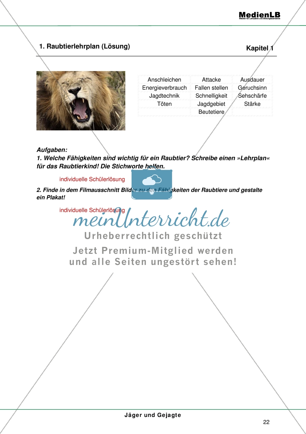 Raubtierlehrplan - Fähigkeiten von Raubtieren identifizieren Preview 2