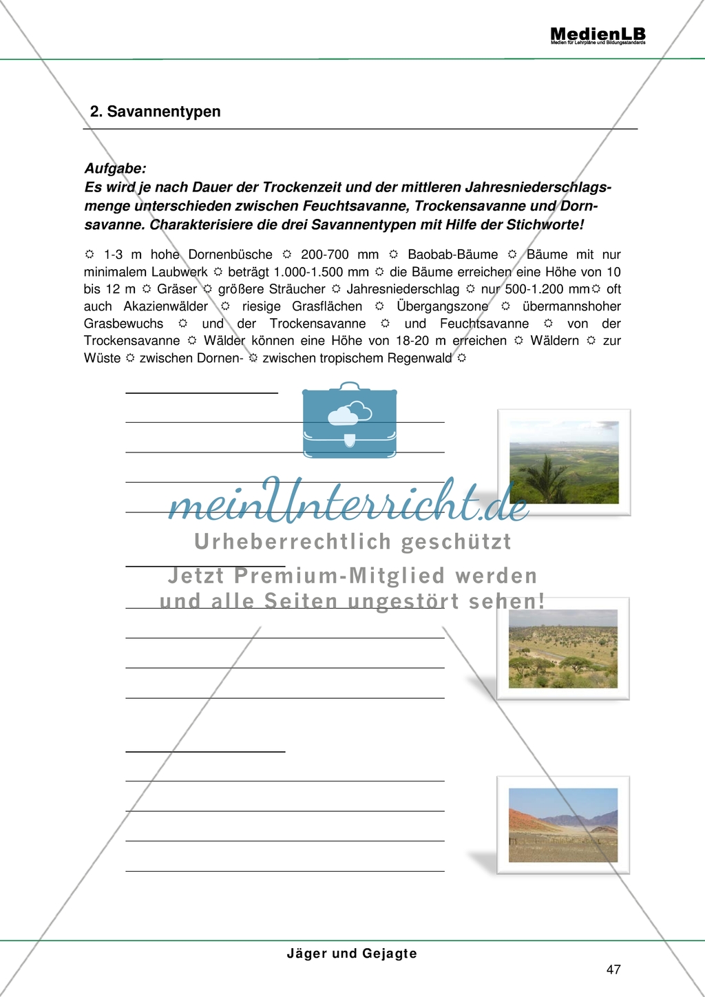 Savannentypen - Charakterisierung Preview 1