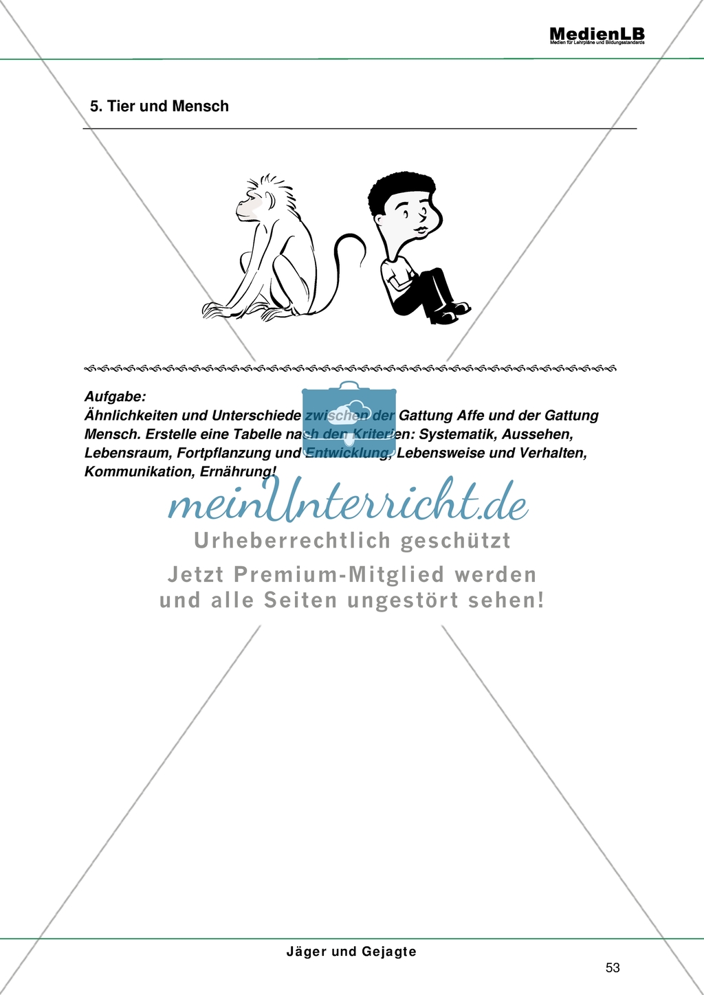 Tier und Mensch - Ähnlichkeiten und Unterschiede Preview 1