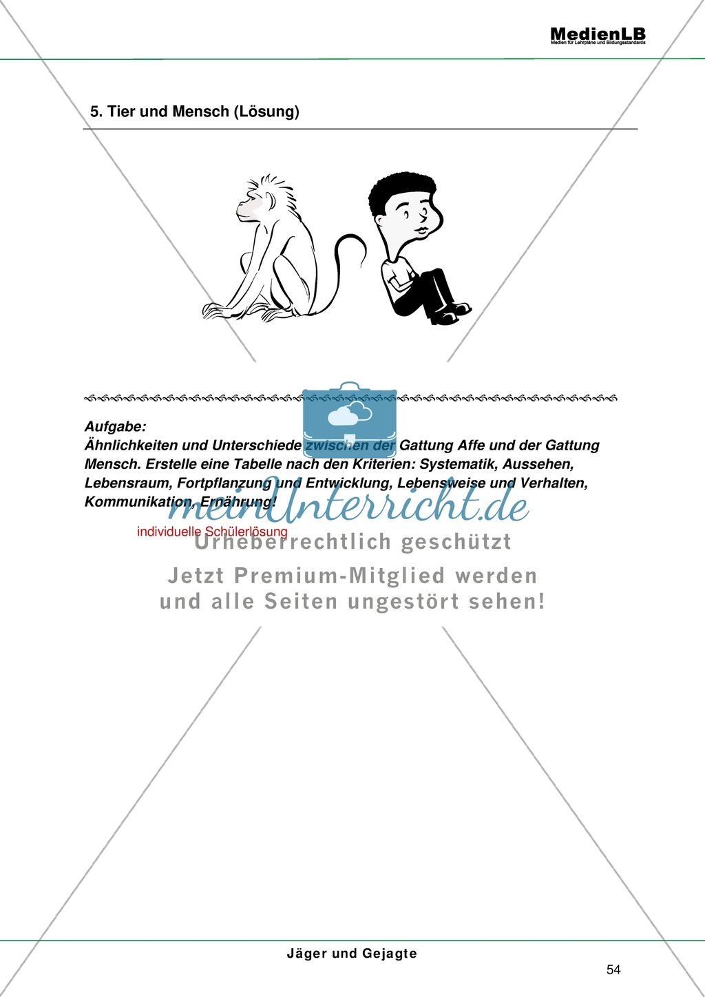 Tier und Mensch - Ähnlichkeiten und Unterschiede Preview 2