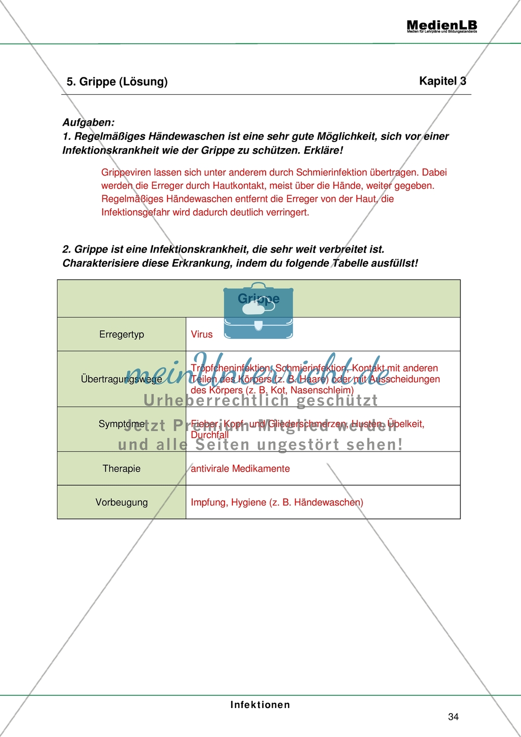 Infektionen - Infektionskrankheiten Preview 12