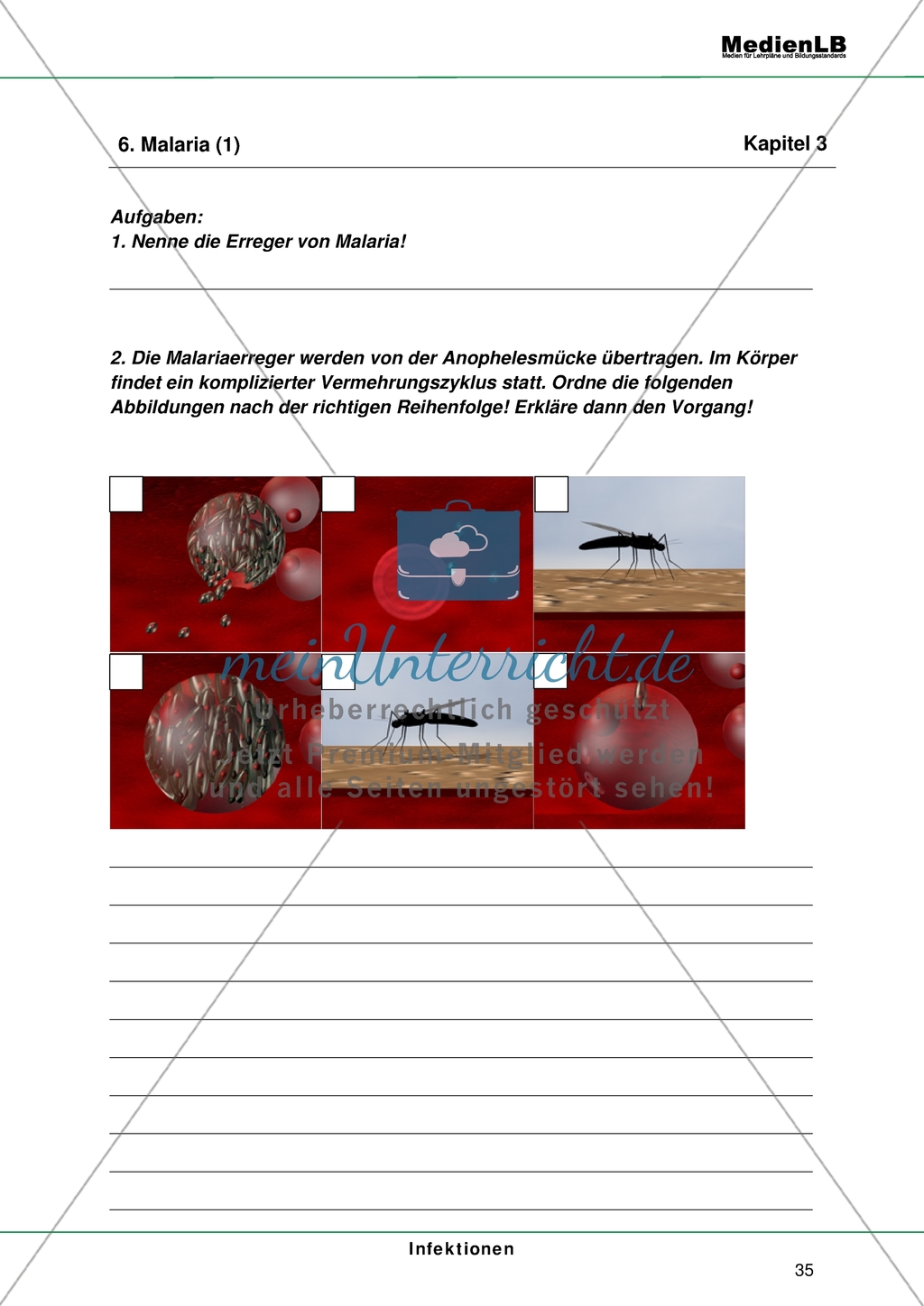 Infektionen - Infektionskrankheiten Preview 13
