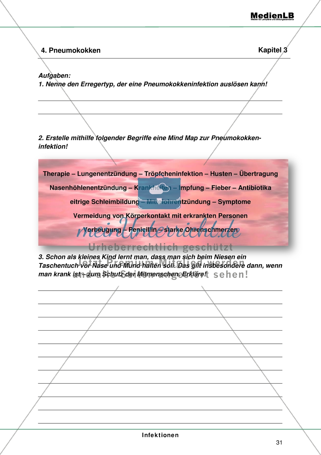 Infektionen - Mindmap zur Pneumokokkeninfektion Preview 1