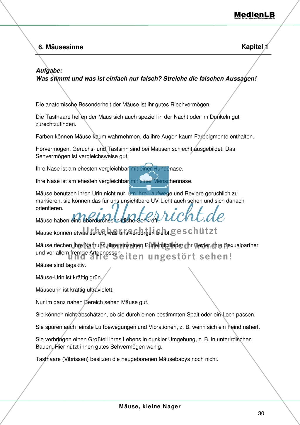 Mäuse, kleine Nager: Sinne der Maus Preview 1