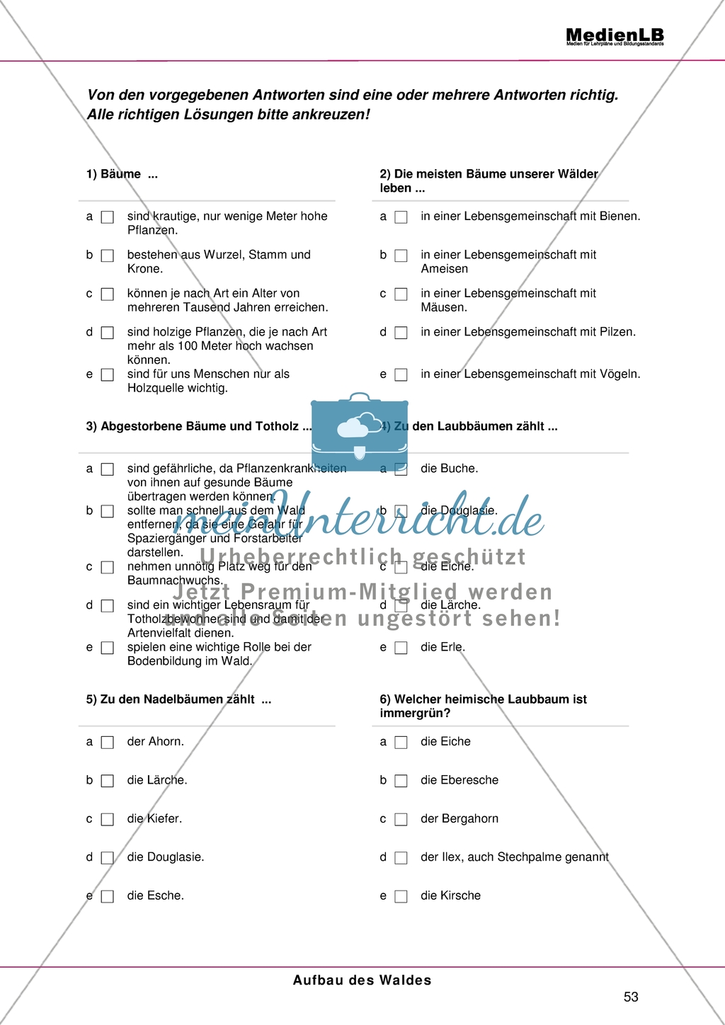 Aufbau des Waldes: Gliederung in Stockwerke - Testaufgaben im Multiple-Choice-Format Preview 2