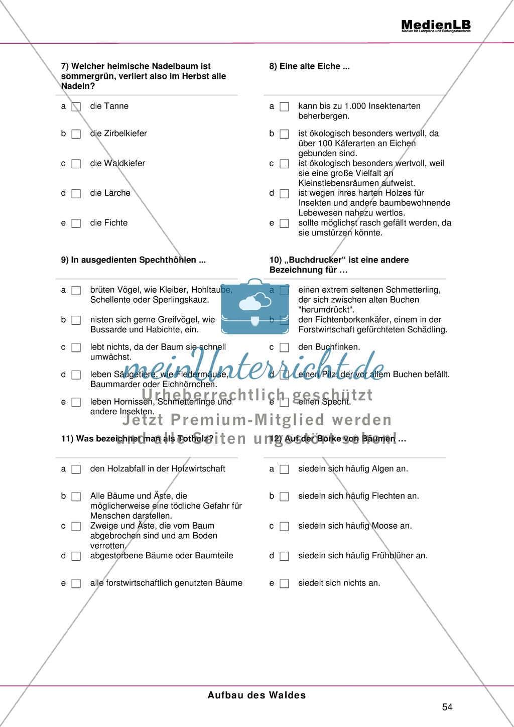Aufbau des Waldes: Gliederung in Stockwerke - Testaufgaben im Multiple-Choice-Format Preview 3