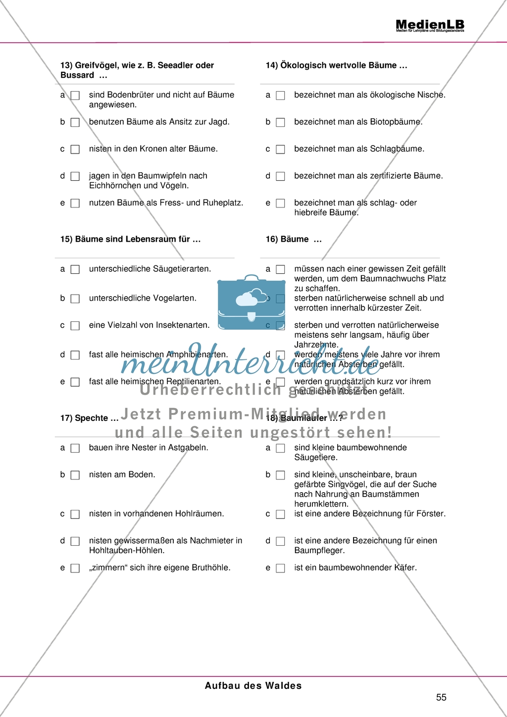 Aufbau des Waldes: Gliederung in Stockwerke - Testaufgaben im Multiple-Choice-Format Preview 4