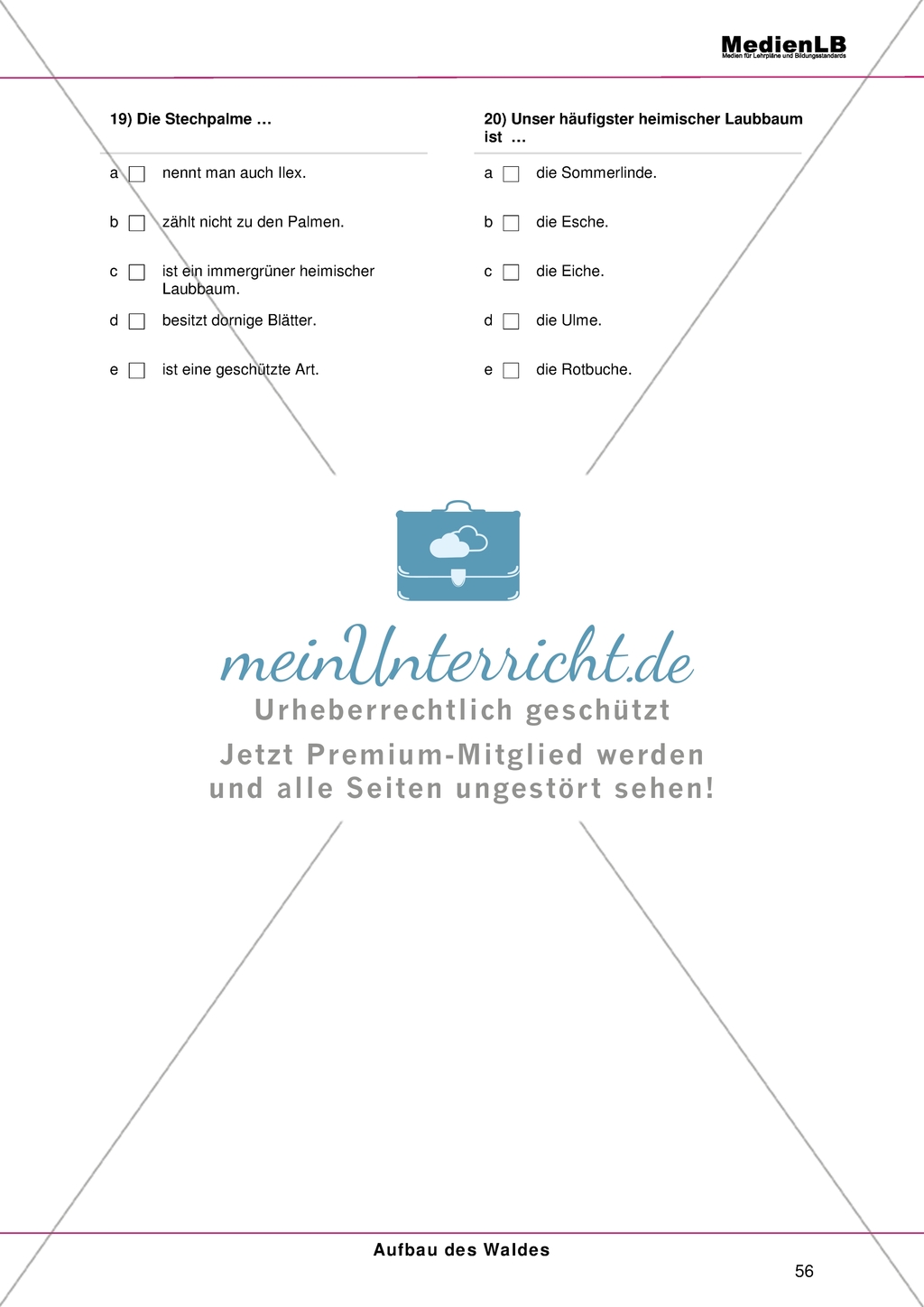 Aufbau des Waldes: Gliederung in Stockwerke - Testaufgaben im Multiple-Choice-Format Preview 5