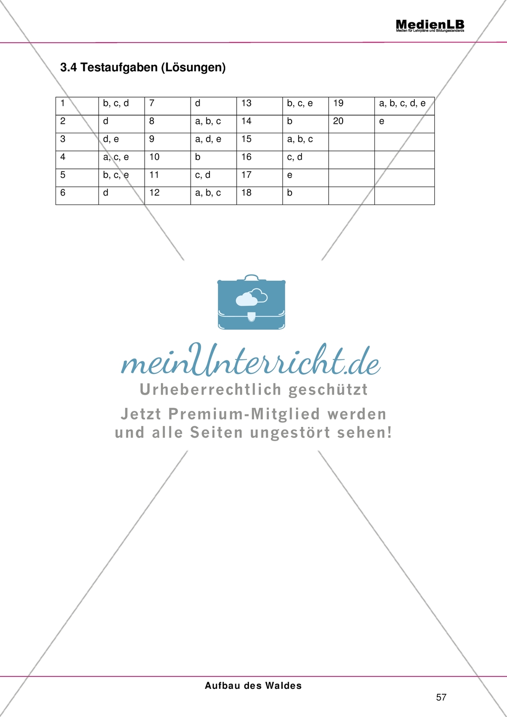 Aufbau des Waldes: Gliederung in Stockwerke - Testaufgaben im Multiple-Choice-Format Preview 6