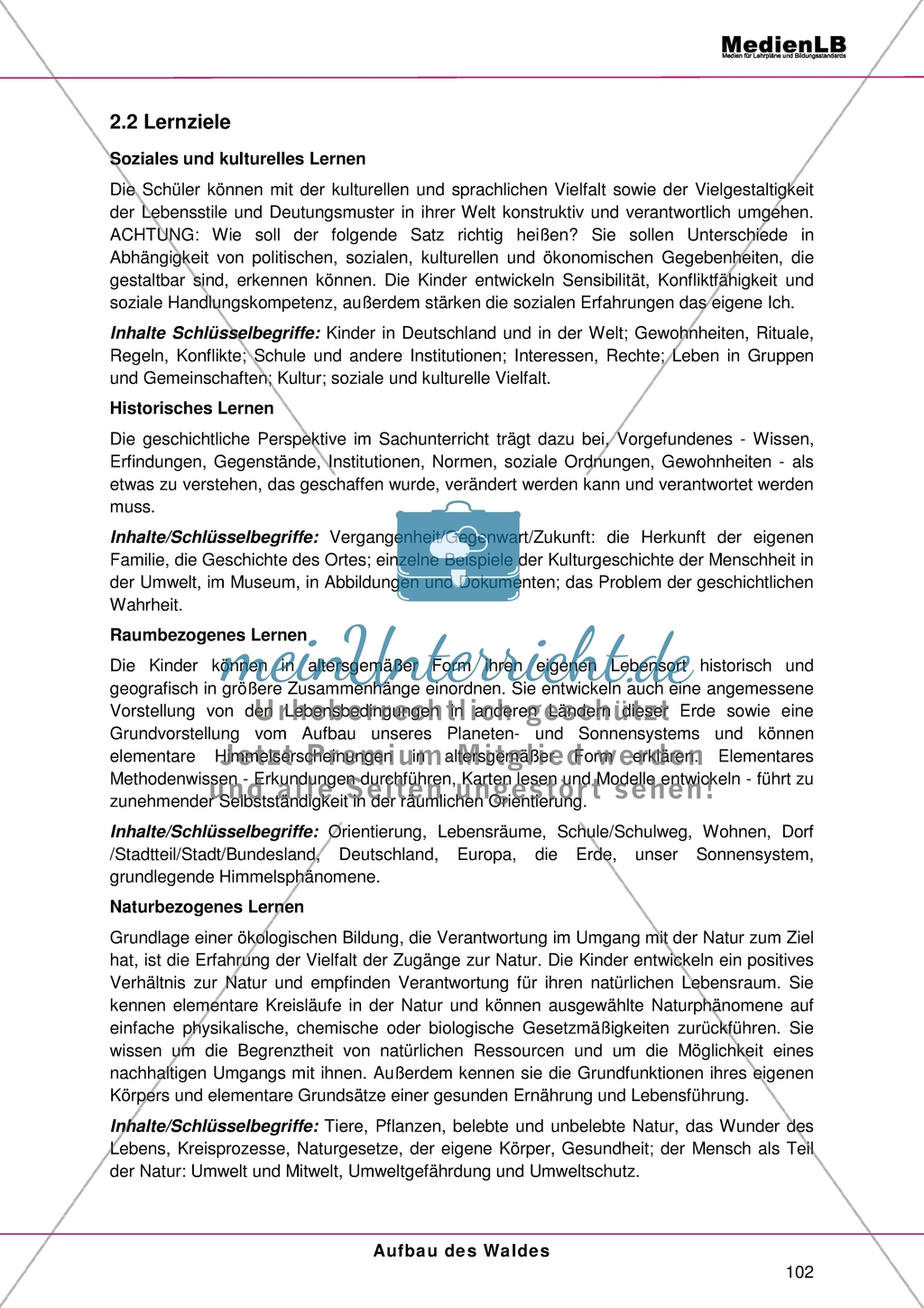 Aufbau des Waldes: Gliederung in Stockwerke - Das Thema in den Bildungsstandards Sachunterricht Preview 2
