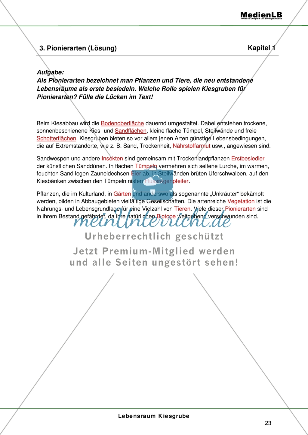 Lebensraum Kiesgrube - Die Rolle der Kiesgruben für Pionierarten erschließen Preview 2