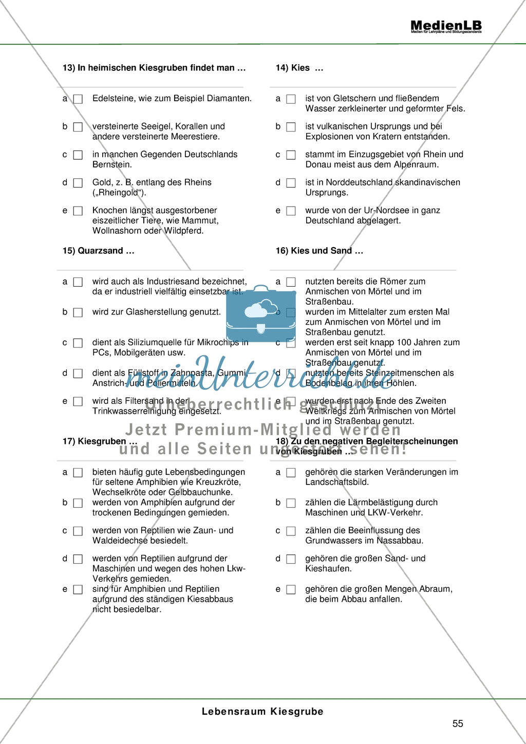 Lebensraum Kiesgrube - Testaufgaben im Multiple-Choice-Format Preview 4