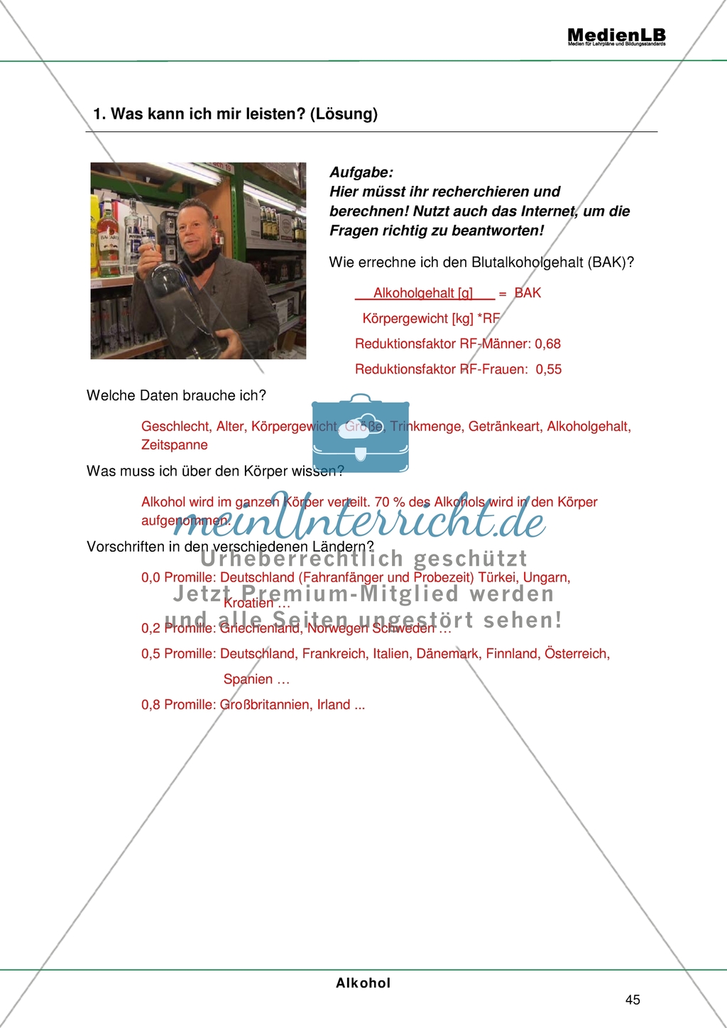 Alkohol - Risiken der Alltagsdroge: Über Blutalkoholgehalt und Vorschriften in verschiedenen Ländern recherchieren Preview 2