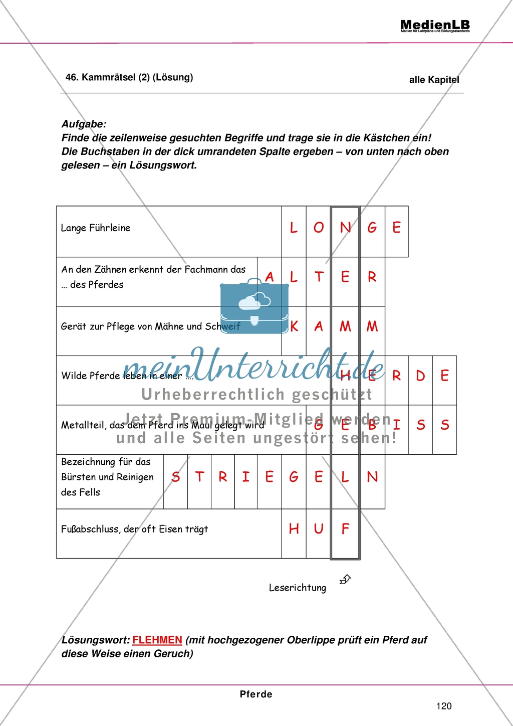 Pferde: Geburt, Pflege, artgerechte Haltung - Pferde-Kammrätsel lösen Preview 4