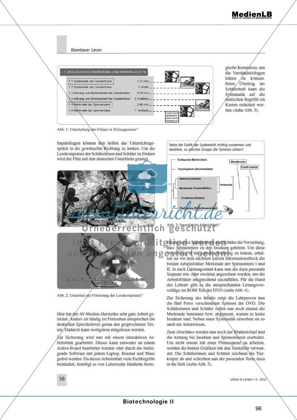 Biotechnologie: Aufbau und Einsatz didaktischer DVDs Preview 7